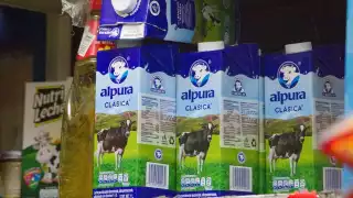 Profeco detecta leches que no son de vaca; contienen grasa vegetal