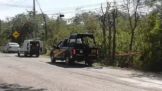 Los restos fueron hallados por empleados de una empresa de telefonía