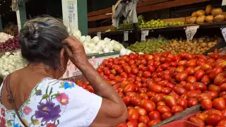 El precio del tomate oscila entre los 15 y 17 pesos por kilogramo