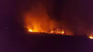 Fuerte incendio en la carretera Escárcega-Champotón pone en riesgo a automovilistas