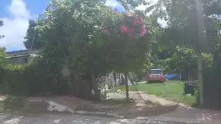 Se roban motocicleta de una vivienda en la colonia Fátima de Escárcega