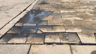 Reportan rebosamiento de aguas negras en plena Quinta Avenida de Playa del Carmen