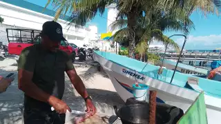 Vidas al filo del mar: cuando la pesca ya no alcanza en Puerto Juárez
