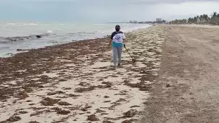 Desciende el nivel del mar debido a los fuertes vientos del Noreste