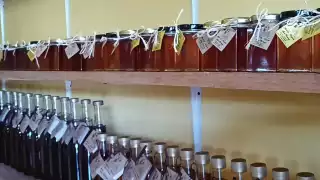 Miel con propóleo, el producto estrella de la cooperativa Dzibzilche en Tulum