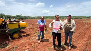 Campesinos de Hopelchén acusan que buscan quitarles tierras que cultivan desde 1986