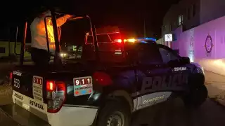 Sometían a las víctimas con arma de fuego para apoderarse de sus pertenencias