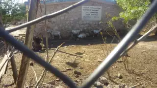 Los habitantes esperan que las escuelas sean reabiertas pronto