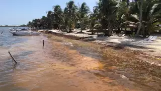 La asociación Aak Mahahual postergó 15 días el retiro de la basura