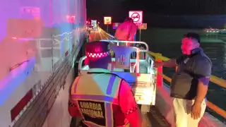 Choque entre tractocamión y motocarro en puente Zacatal causa caos vial.