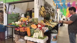 Factores climáticos y exportación disparan precios de verduras en Campeche