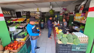 Exponen problemas sanitarios en frutería del Centro de Mérida tras inspección