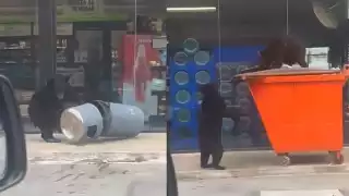 La familia de osos solamente busca alimento entre la basura de un Oxxo