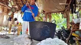 Actividad chiclera “agoniza" en Felipe Carrillo Puerto; nuevas generaciones tienen menos interés