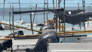 Pescadores realizarán viajes de hasta tres días