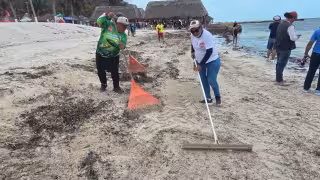 Limpieza y actividades culturales atraen visitantes a Playa Bonita