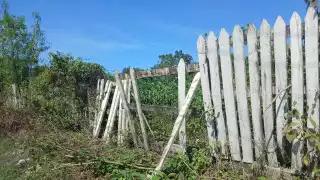 Roban parte de un cerco de madera de una propiedad ubicada en Escárcega