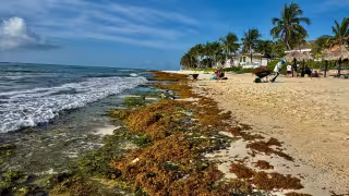 La instalación de escolleras frente a las playas de Xcalacoco ha generado señalamientos por la pérdida de arena y la exposición de zonas rocosas