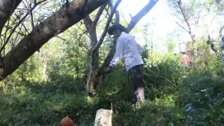 Mencionan que hoy en día la gente opta por remedios farmacéuticos, dejando de lado la tradición maya