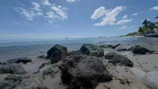 Actualmente están evaluando los posibles estudios que permitan crear una proyección integral de rehabilitación