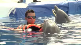 ¿Qué ocurrió con el Delfinario de la Feria Yucatán Xmatkuil? Esta es su historia