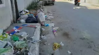 Indicaron que la autoridad no hizo nada para impedir este tiradero de basura