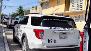 Catean un domicilio de la SM 68 de Cancún por presunta venta de drogas