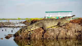 El Ibanpqroo reforzará medidas preventivas tras registrarse dos ataques de cocodrilos a pescadores en Felipe Carrillo Puerto.