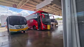 Más de 7 mil pasajeros adicionales viajarán con ADO en temporada vacacional