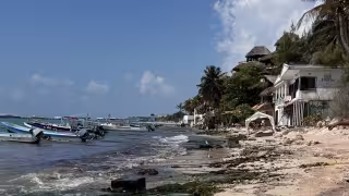 Llaman ambientalistas a recuperar 6 kilómetros de playas erosionadas de Playa del Carmen