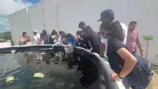 Universidad del Mar de Yucatán será una realidad; preparan el nombramiento de su Rector