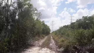 Los cuerpos fueron trasladados al Servicio Médico Forense