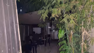 Aseguran bar clandestino durante un cateo en la Región 234 de Cancún