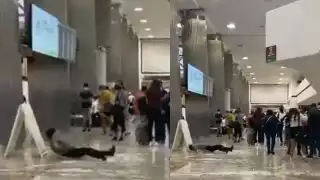 La persona se golpeó en la cabeza al caer