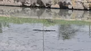 Rebosamiento de drenajes provoca pestilencia y baches en Campeche