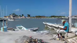 Hombres de mar aseguraron que este año la producción fue baja