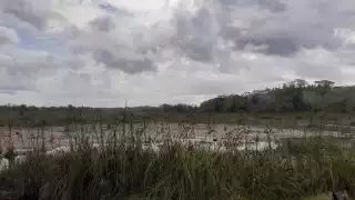 Se seca brazo de agua en José María Morelos, Quintana Roo