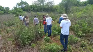 Las comunidades cercanas a las vías y estaciones del Tren Maya en Quintana Roo fueron consideradas para este proyecto de Fonatur