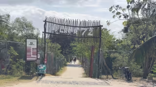 Encuentran cadáver en el mar frente a playa de Playa del Carmen