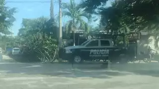 Por la mañana, cuando el encargado del negocio acudió a abrir el local, se encontró con las cerraduras dañadas y el faltante de mercadería, por lo que llamó a la Policía