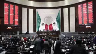 Durante este miércoles se discutió la ley y fue aprobada y apoyada por la bancada de Morena.