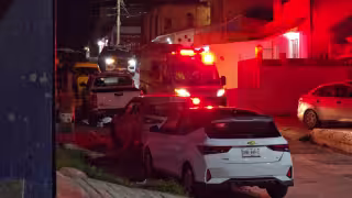 FGECAM investiga ataque de pitbull contra menor de edad