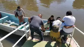 El hombre se encontraba escondido entre las plantas del manglar de Ciudad del Carmen