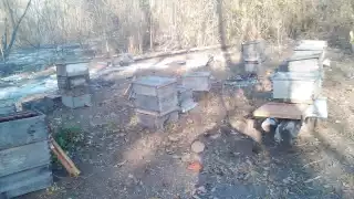 El Incendio consumió más de mil hectáreas en la zona limítrofe de Campeche con Quintana Roo