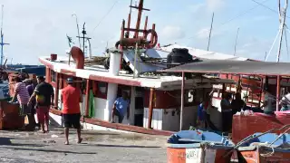 Hay posibilidad de que se extienda el período de captura del molusco hasta el próximo 31 de diciembre