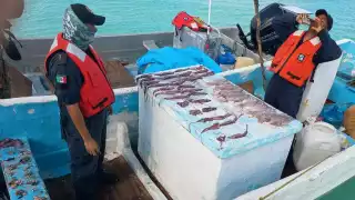 Se detuvo a los dos pescadores y se aseguró el producto que llevaban