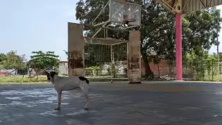 Denuncian falta de mantenimiento en el parque de la colonia Antorchista en Chetumal