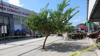 Enjambre de abejas africanas genera preocupación en mercado municipal de Escárcega