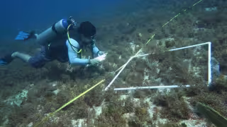 Yucatán fortalece la vigilancia costera con monitoreo científico y comunitario de marea roja