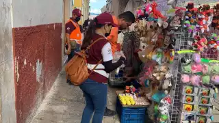 El decomiso se hizo por la avenida Colosio, el polvorín y el mercado principal en Campeche